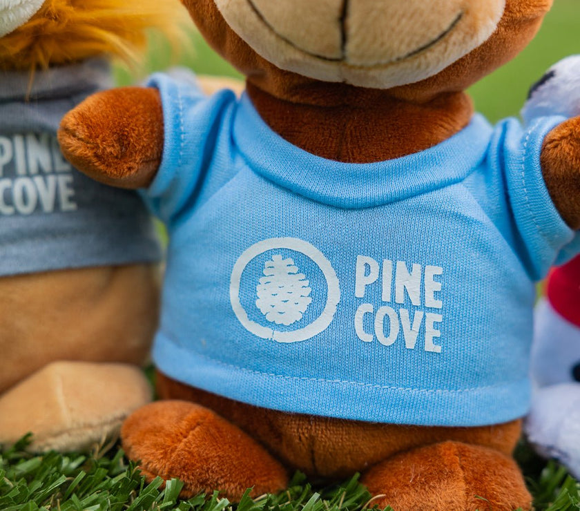 Bean Bag Animals - Pine Cove Web Store