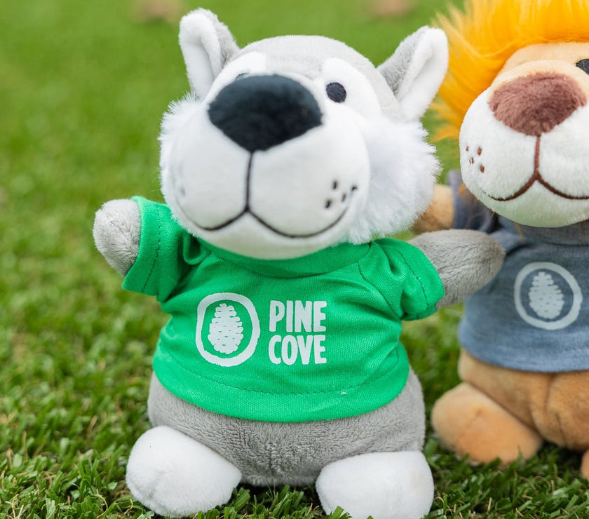Bean Bag Animals - Pine Cove Web Store