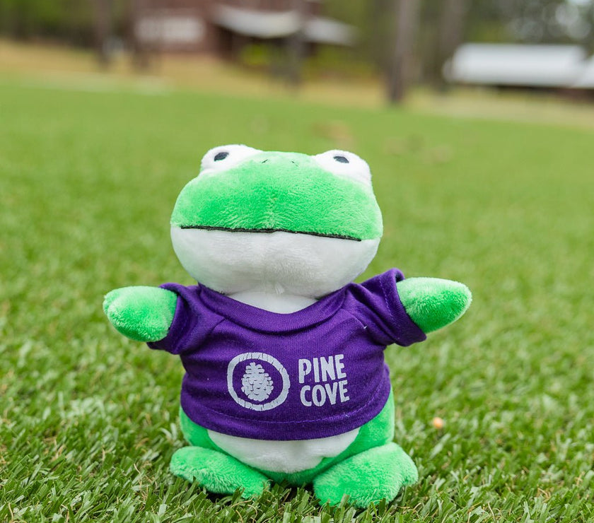 Bean Bag Animals - Pine Cove Web Store