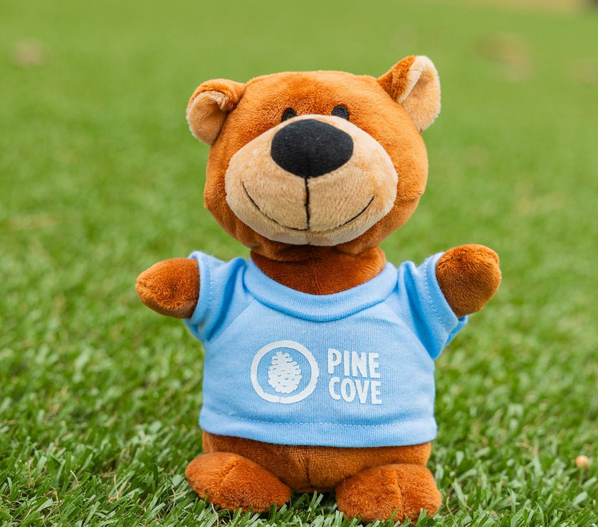 Bean Bag Animals - Pine Cove Web Store