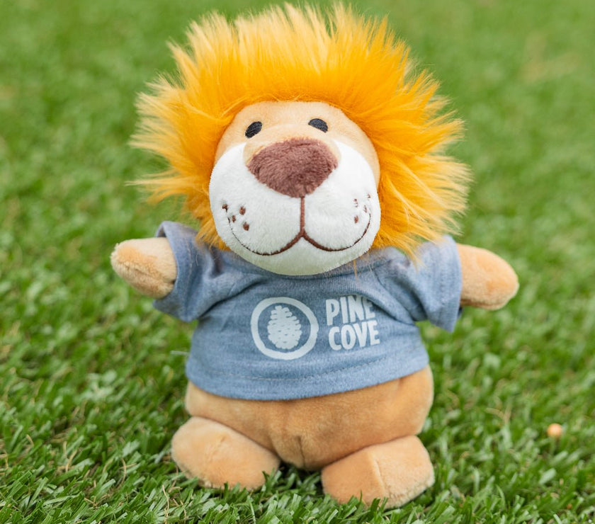 Bean Bag Animals - Pine Cove Web Store
