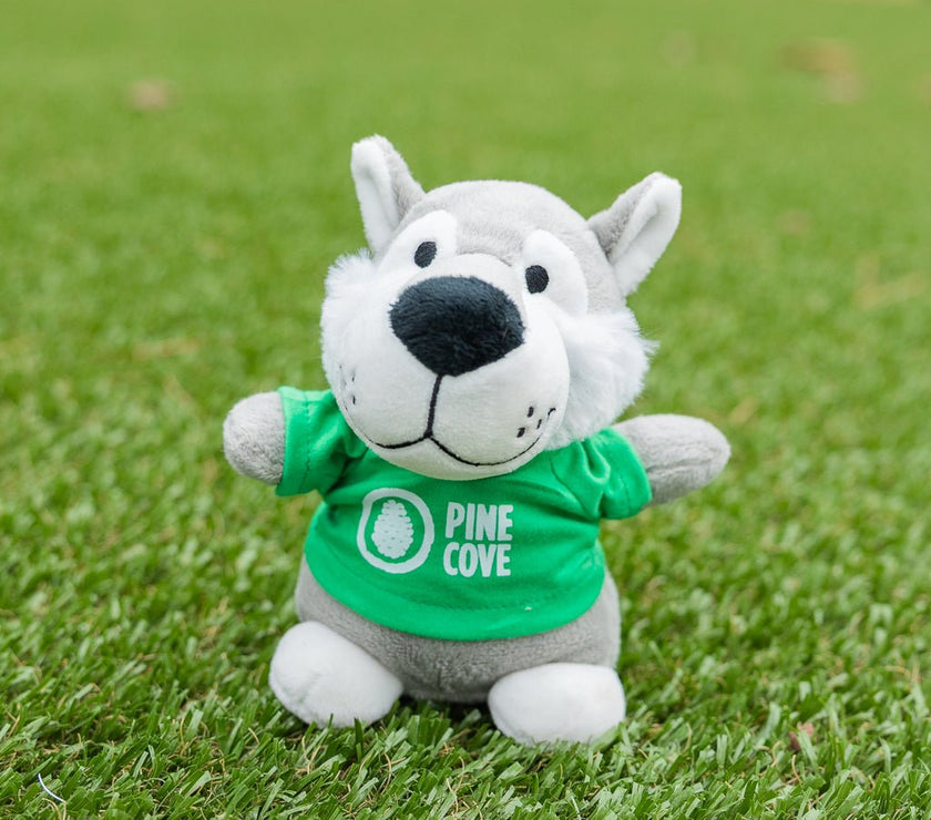 Bean Bag Animals - Pine Cove Web Store
