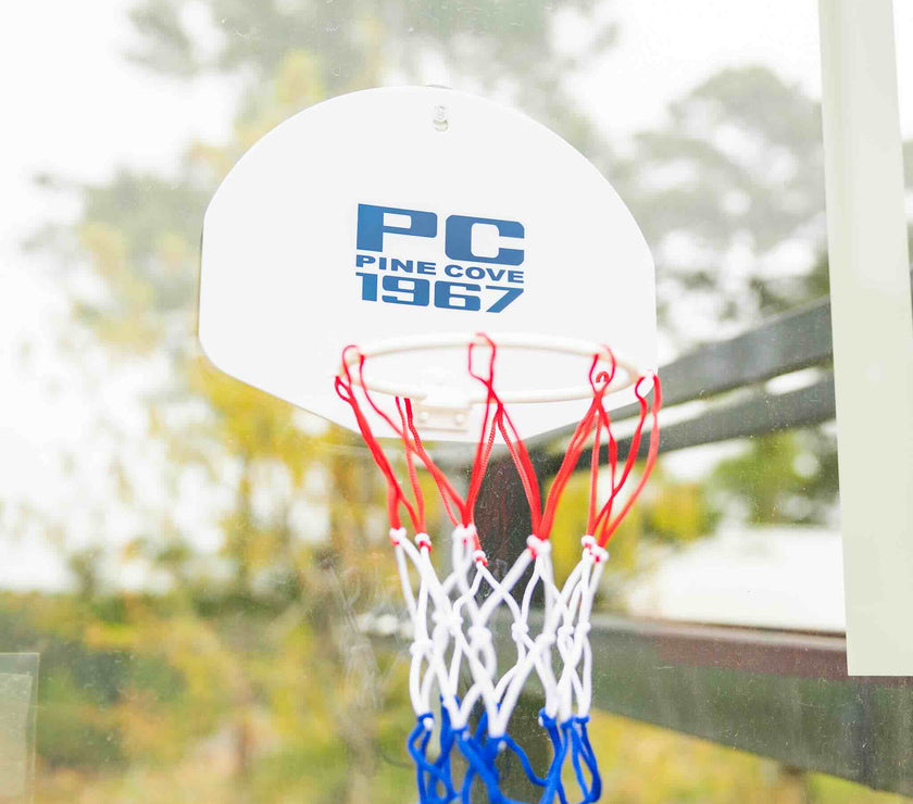 Hoop and Basketball