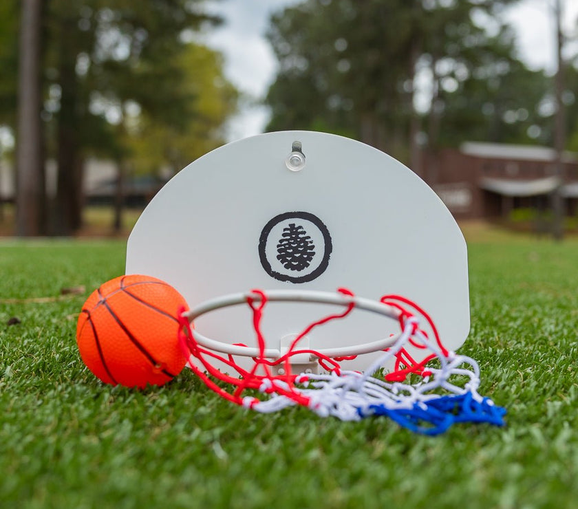 Hoop and Basketball - Pine Cove Web Store
