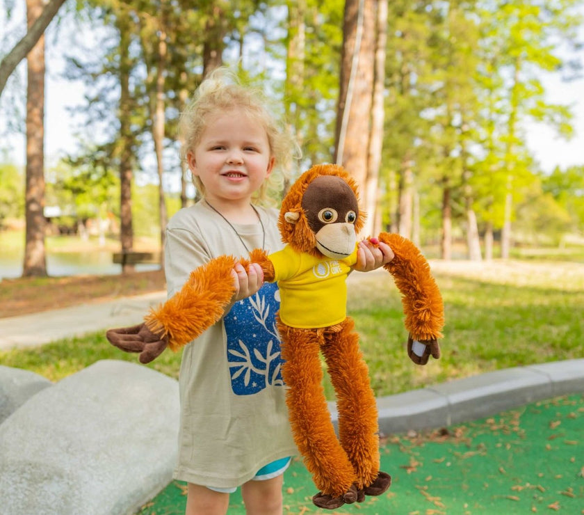 Monkey - Pine Cove Web Store