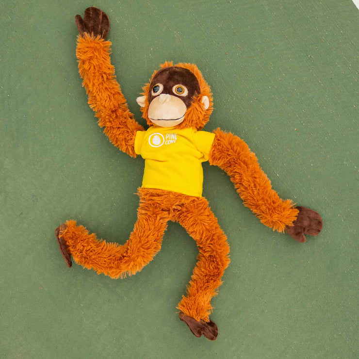 Monkey - Pine Cove Web Store