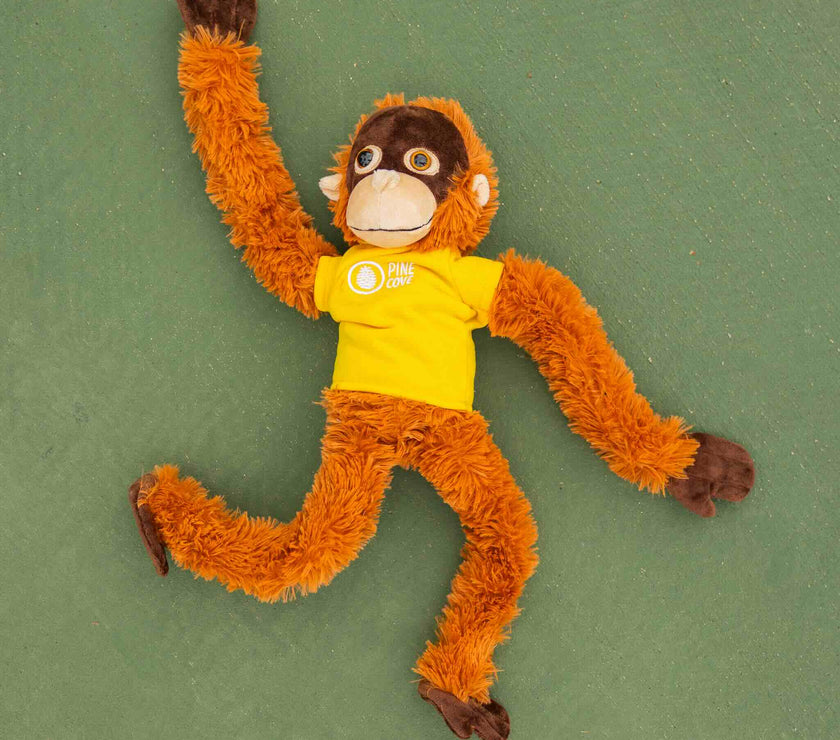 Monkey - Pine Cove Web Store