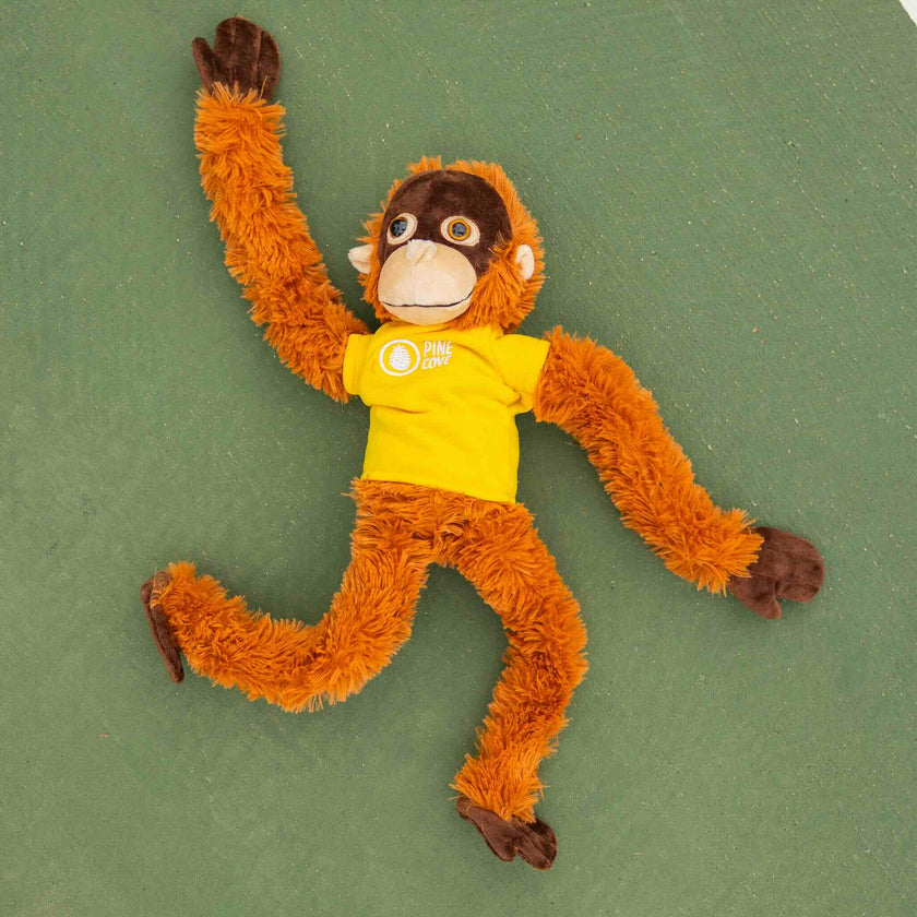 Monkey - Pine Cove Web Store