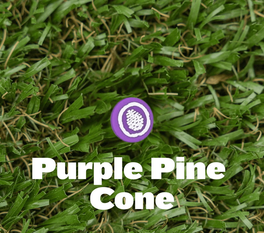 Shoe Charm - Pine Cove - Pine Cove Web Store