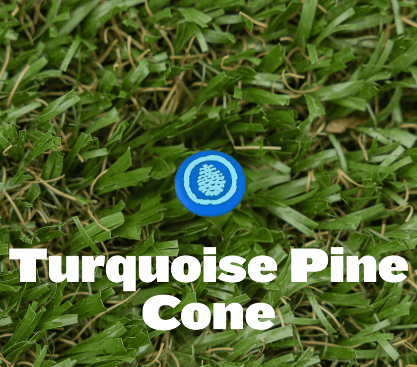 Shoe Charm - Pine Cove - Pine Cove Web Store