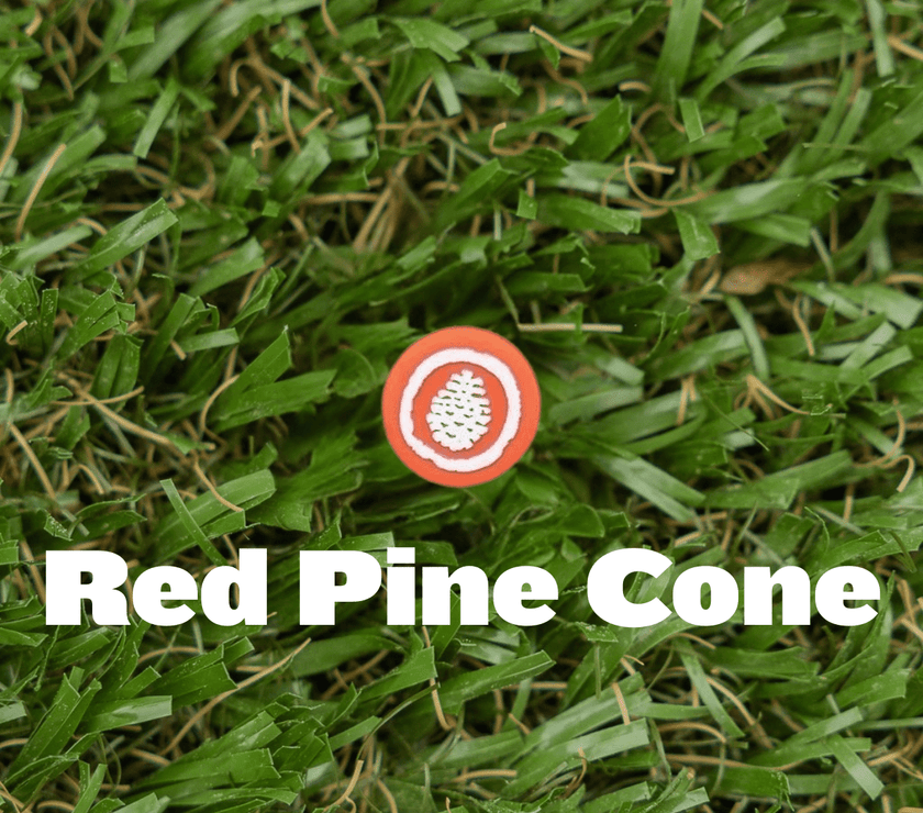 Shoe Charm - Pine Cove - Pine Cove Web Store