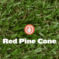 Shoe Charm - Pine Cove - Pine Cove Web Store