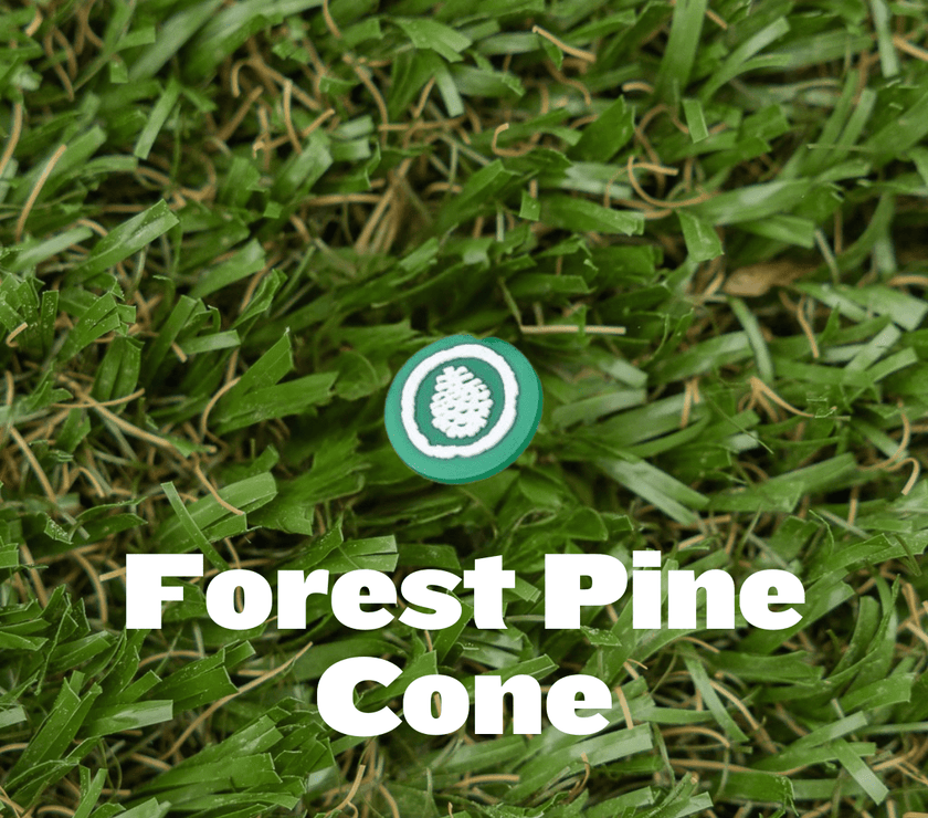 Shoe Charm - Pine Cove - Pine Cove Web Store