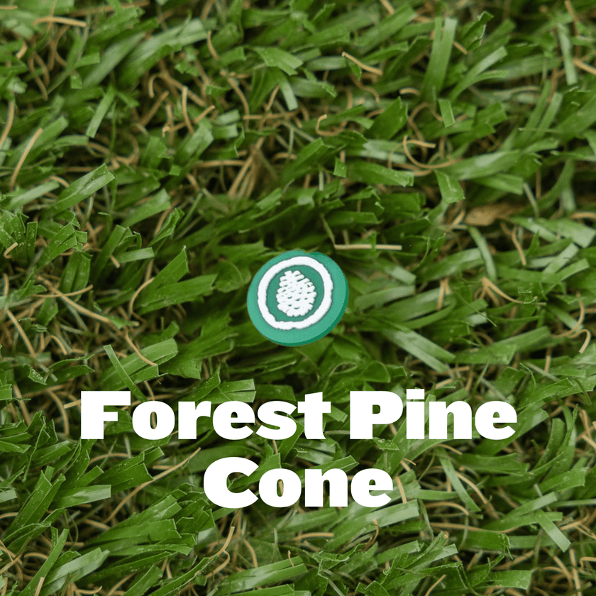 Shoe Charm - Pine Cove - Pine Cove Web Store