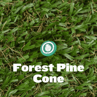 Shoe Charm - Pine Cove - Pine Cove Web Store