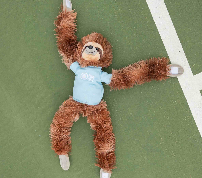 Sloth - Pine Cove Web Store